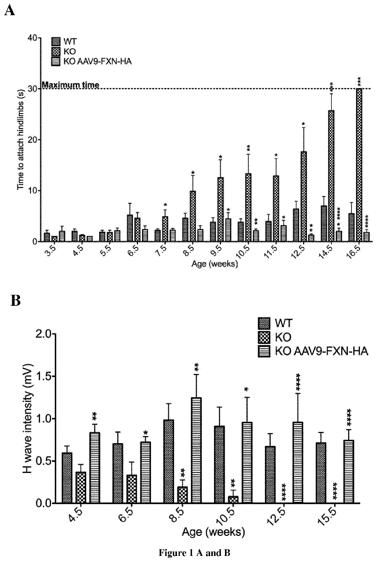 Methods and pharmaceutical composition for the treatment and the prevention of neurological phenotype associated with Friedreich ataxia