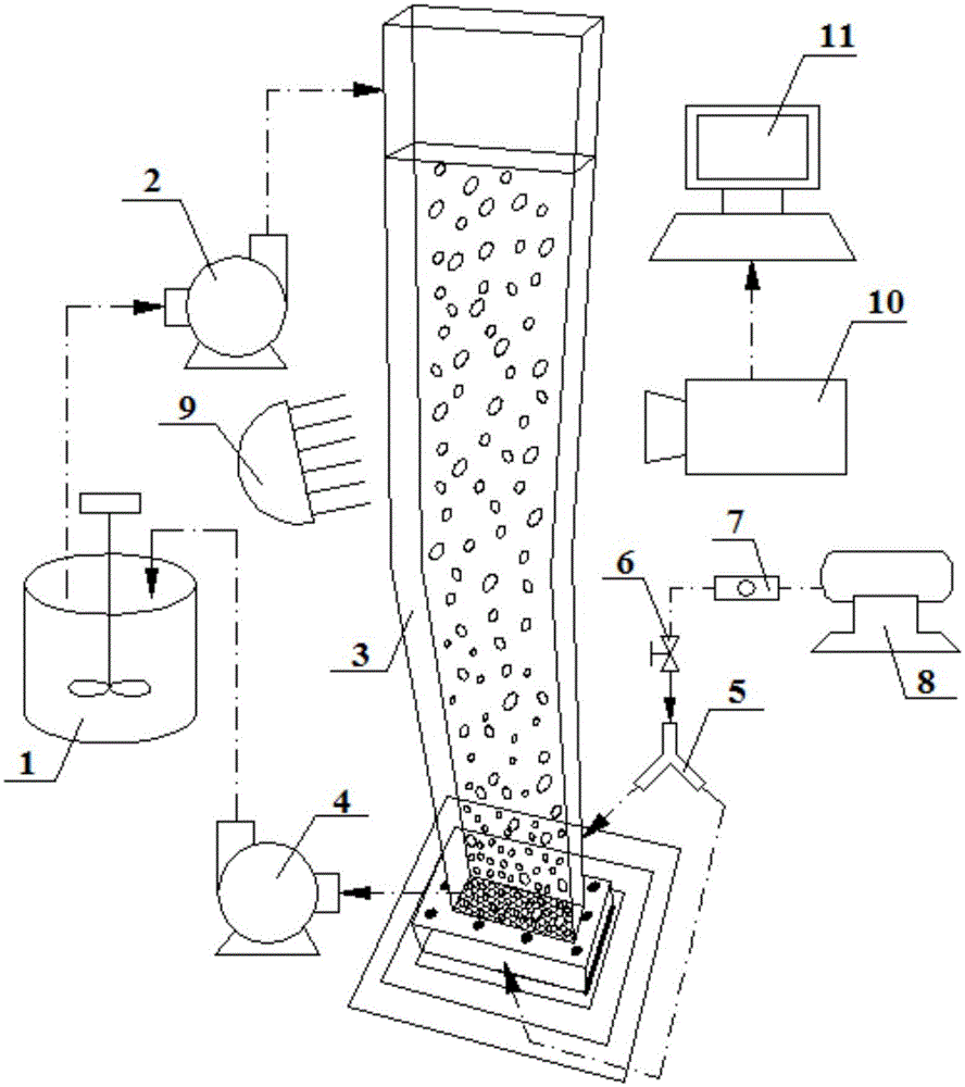 Flotation motion bubble characteristics observation experiment apparatus and method