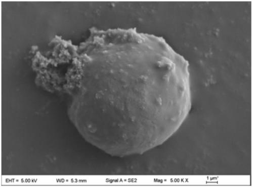 Preparation method of corrosion resisting UV aging resistant coating modified aluminum pigment