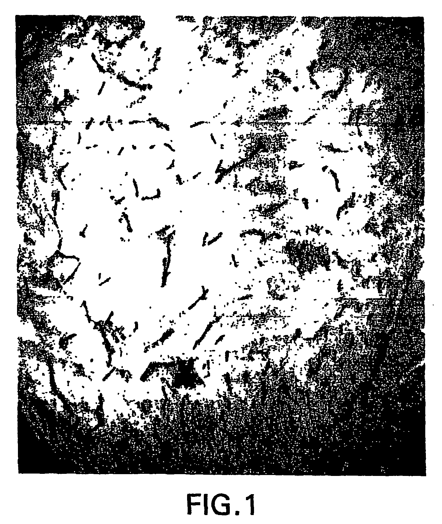 Tissue protective cytokines for the protection, restoration, and enhancement fo responsive cells, tissues and organs