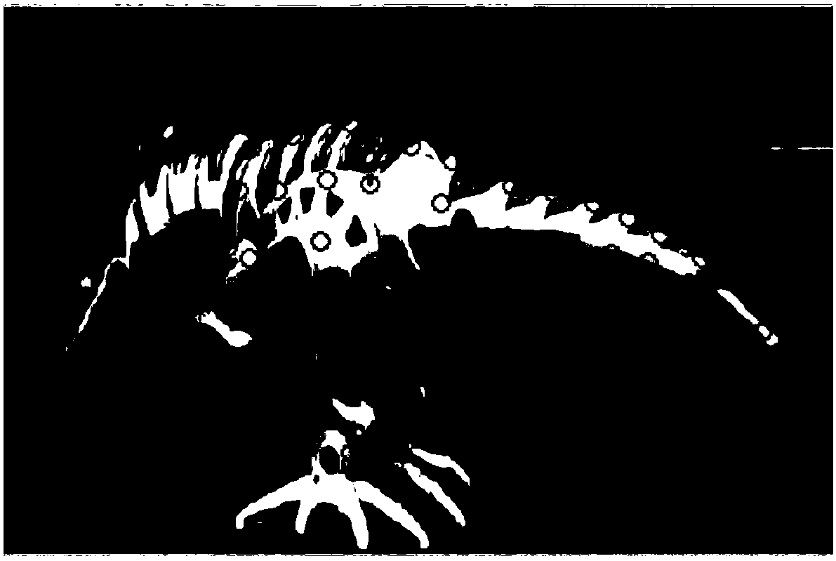 A Restoration Method for Image Missing Values ​​Based on Non-rigid Trajectory Basis