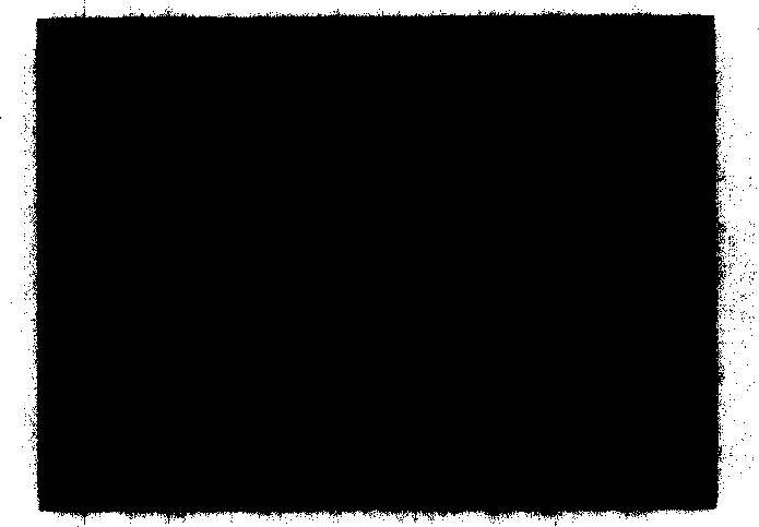 Zinc oxide whisker compound germicide composition