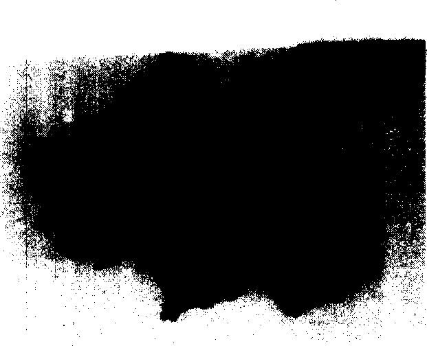 Zinc oxide whisker compound germicide composition