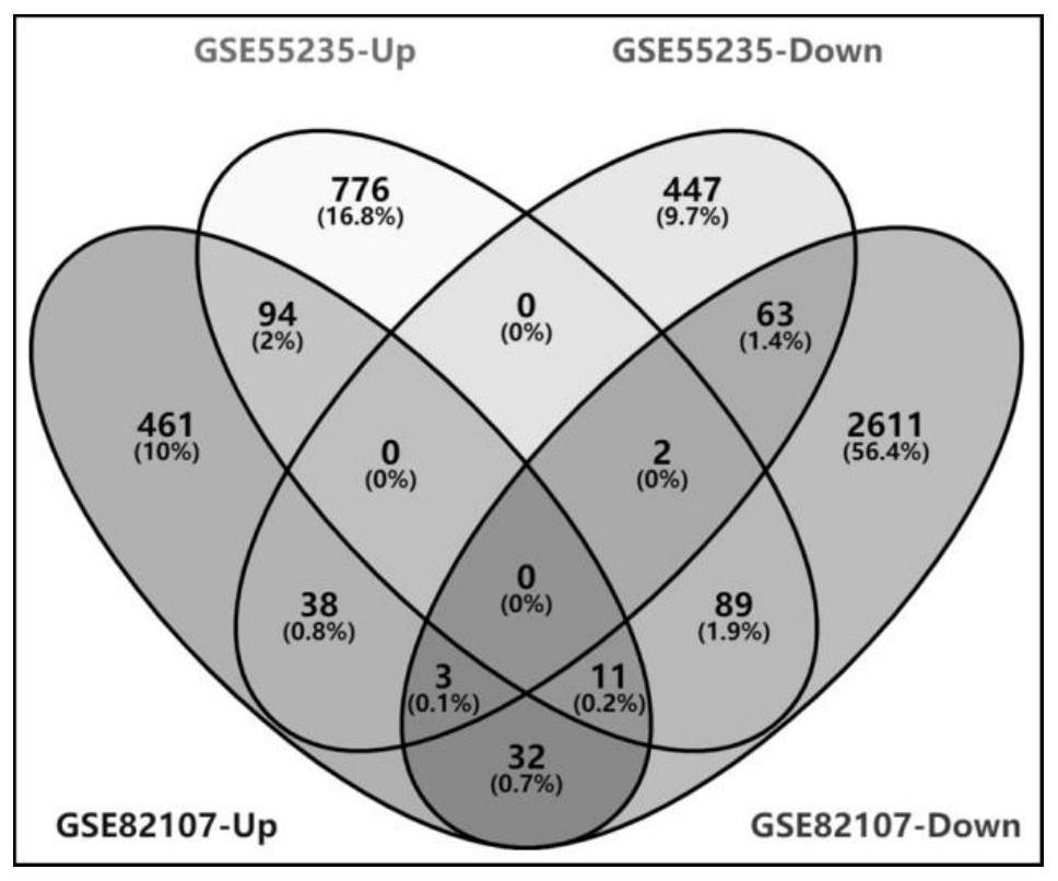 Osteoarthritis related gene screening and function analysis method