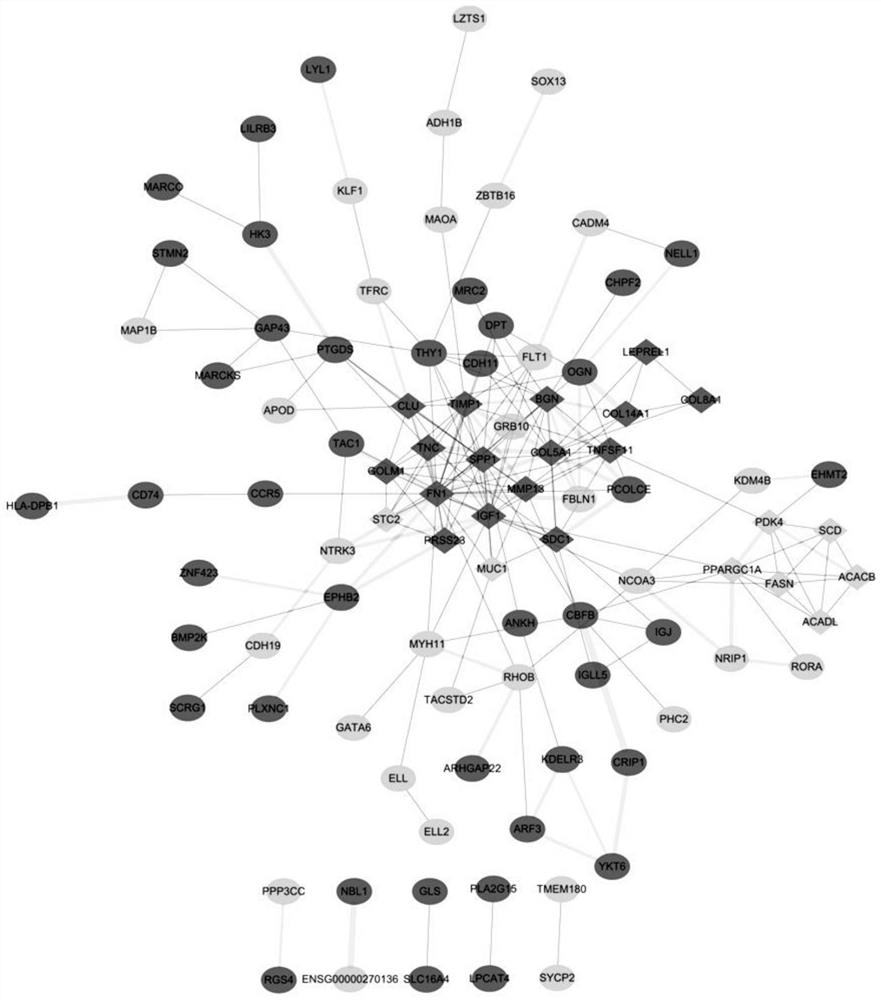 Osteoarthritis related gene screening and function analysis method