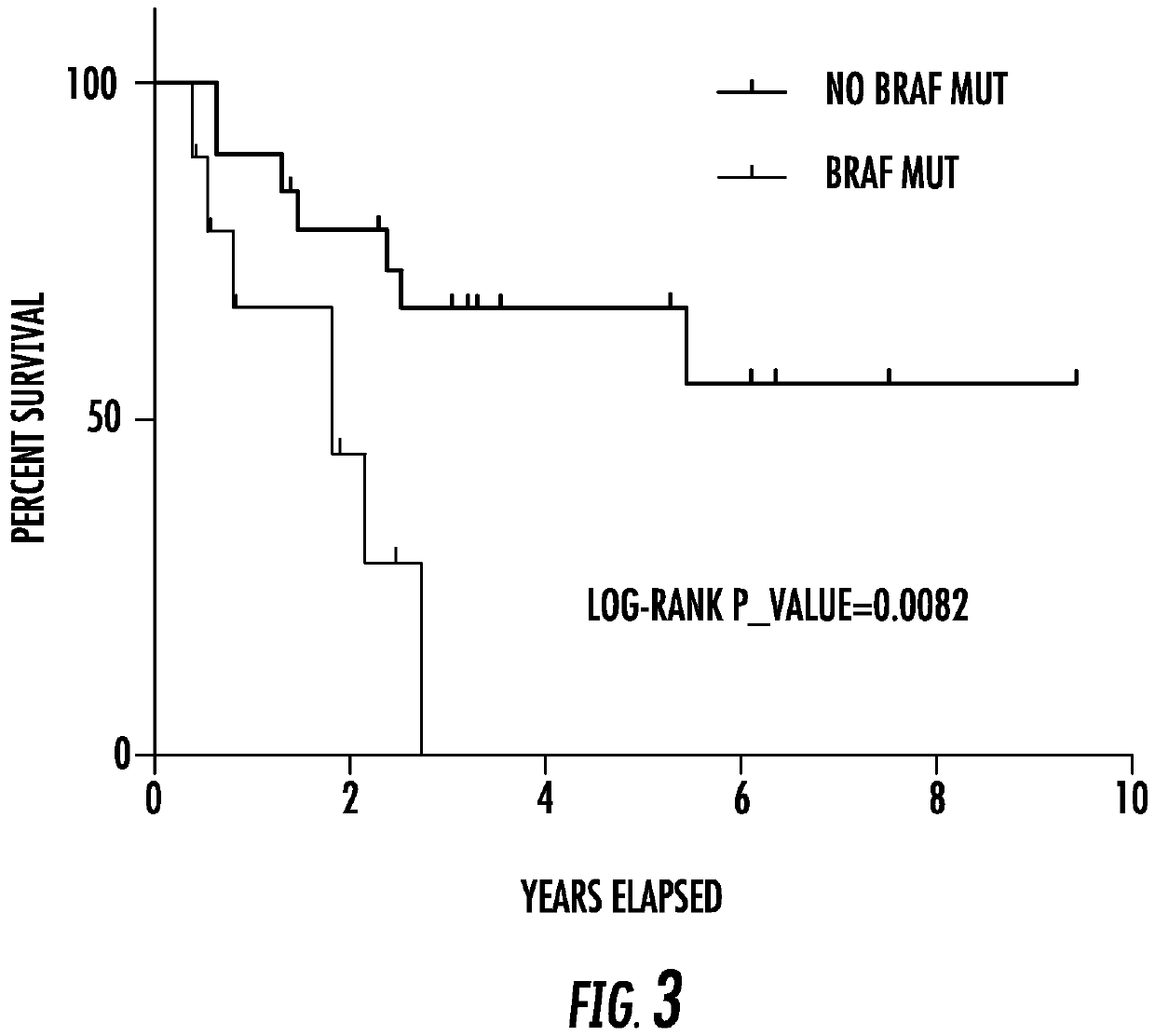 TERT and BRAF mutations in human cancer