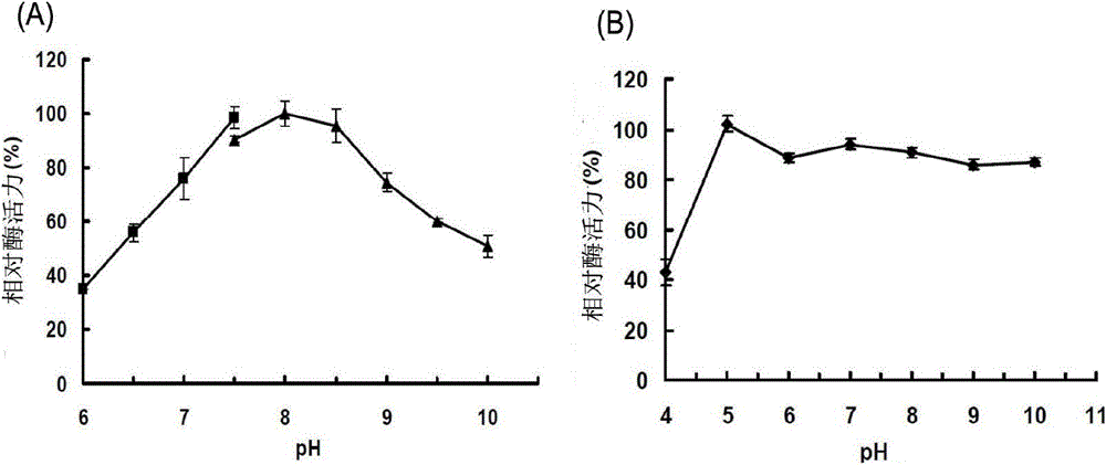 Incision alginate lyase Alg2B and coding gene, preparation and application thereof