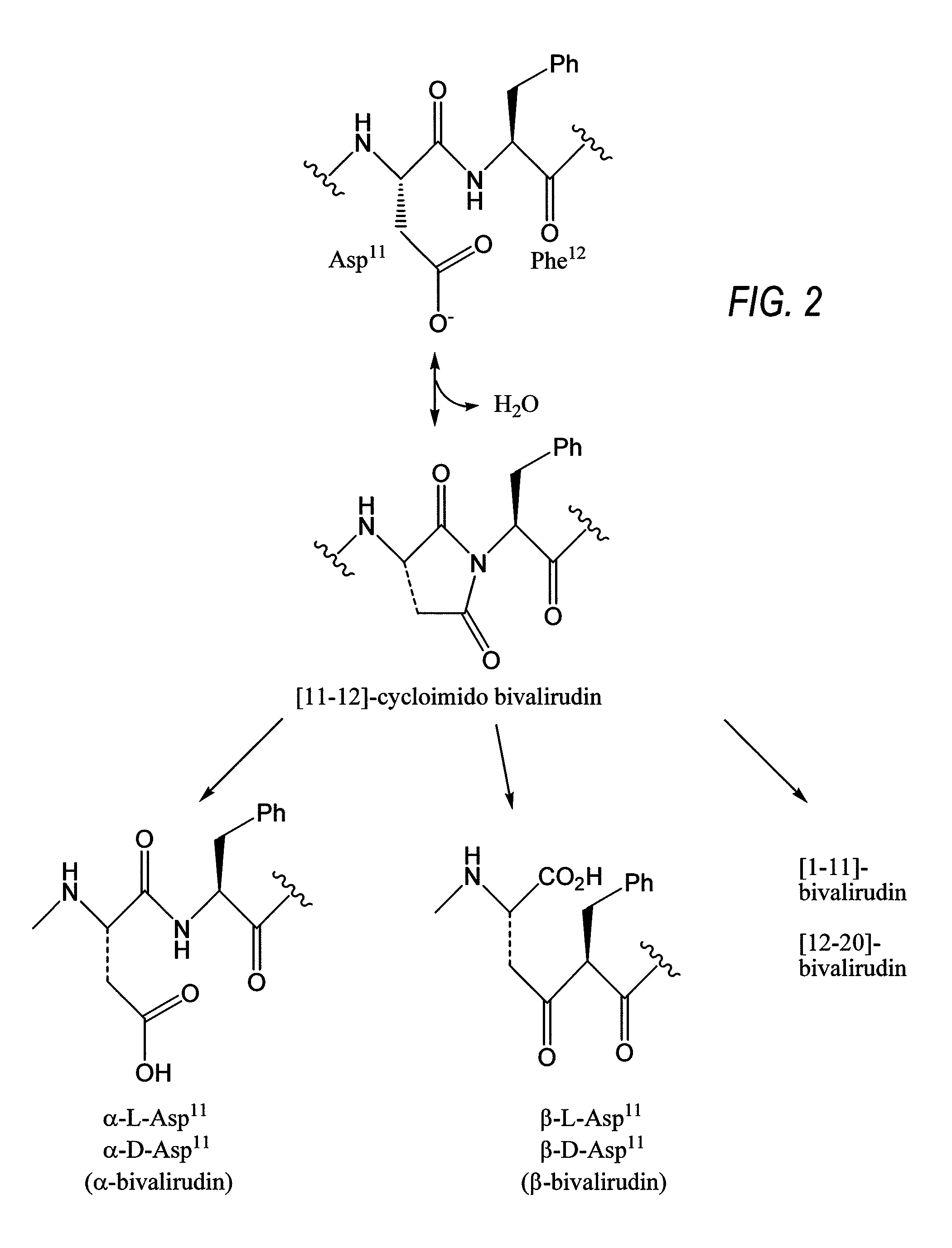 Ready-to-use bivalirudin compositions