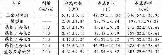 Pharmaceutical composition and preparation method, preparation and application thereof