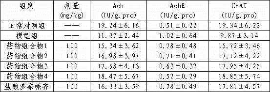 Pharmaceutical composition and preparation method, preparation and application thereof