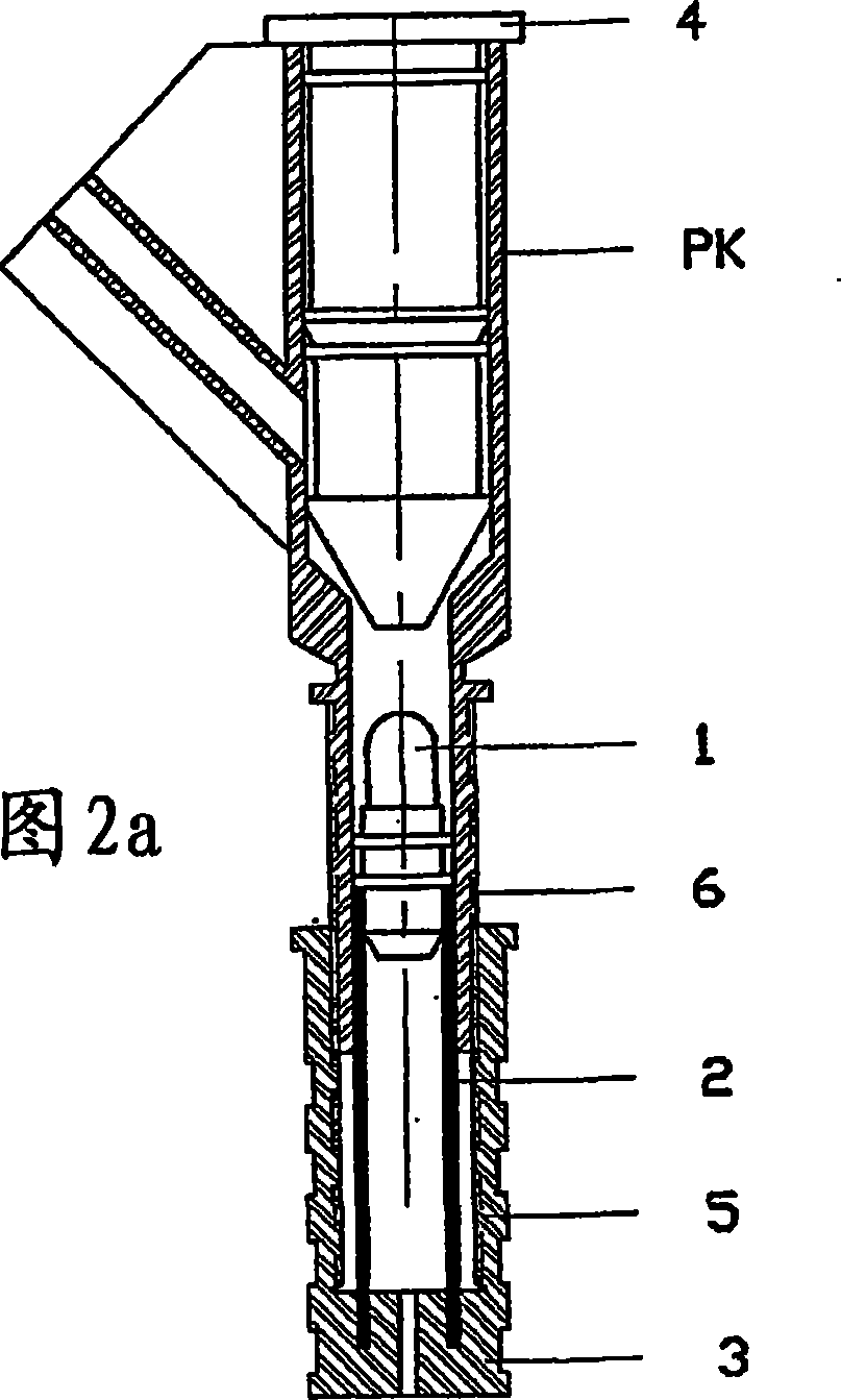 Device and method for introducing a plug into the peritoneal dialysis connector of a patient