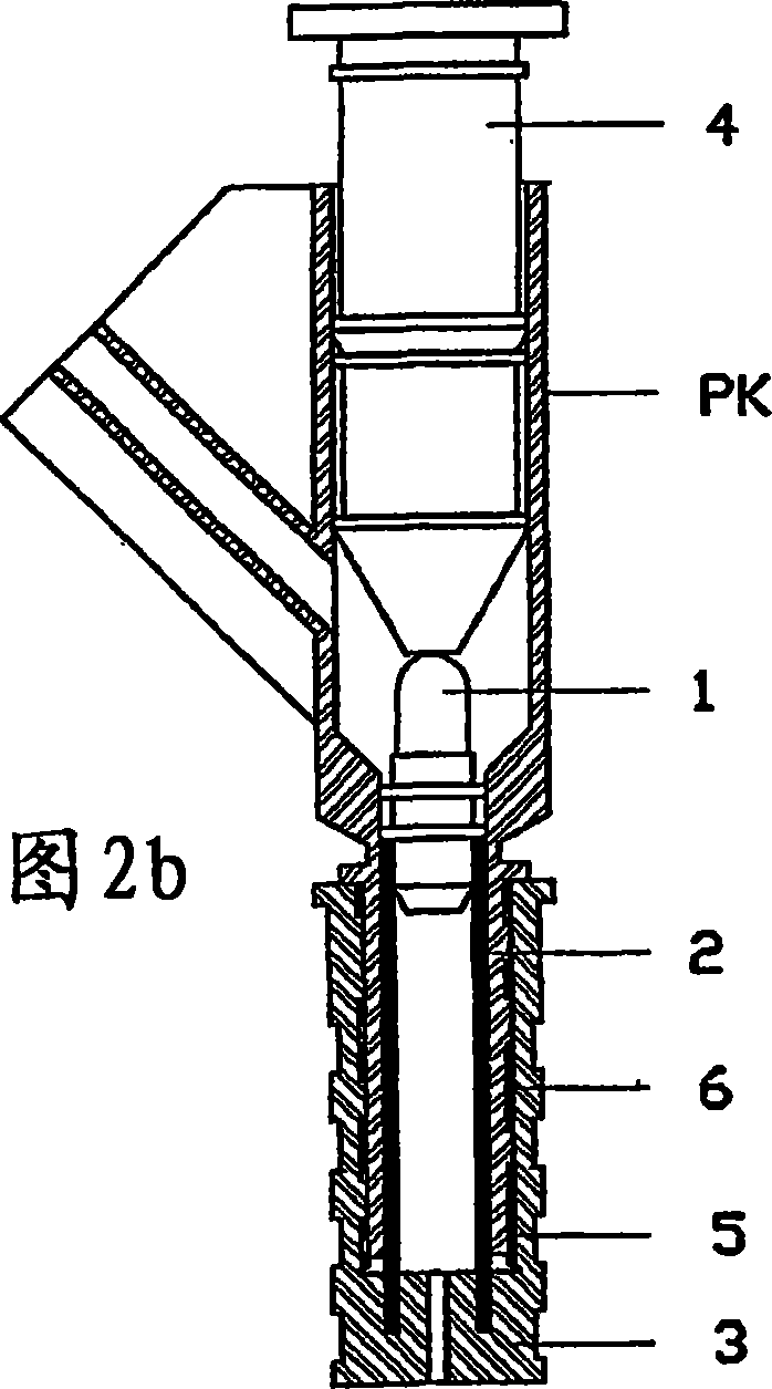 Device and method for introducing a plug into the peritoneal dialysis connector of a patient