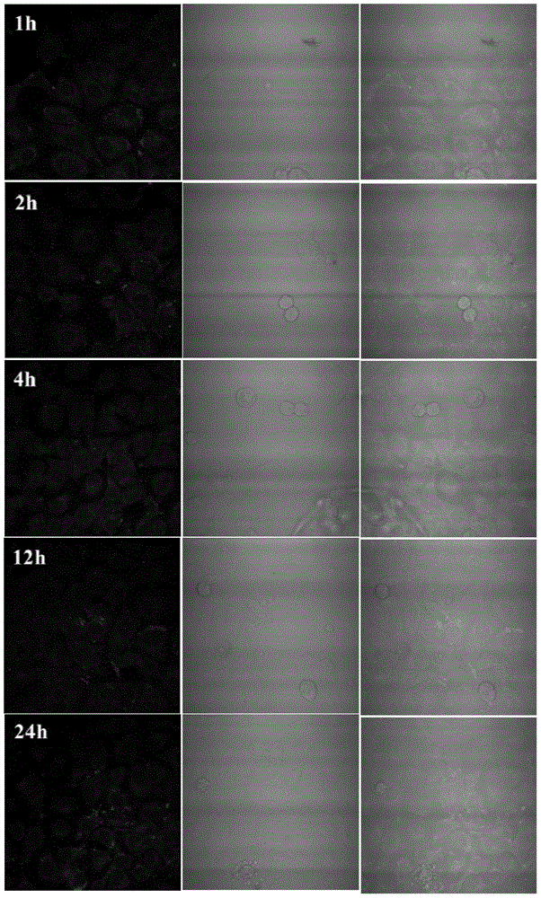 Amphiphilic segmented copolymers, nanoparticles containing amphiphilic segmented copolymers, preparation method of amphiphilic segmented copolymers and use of nanoparticles