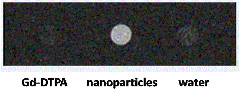 Amphiphilic segmented copolymers, nanoparticles containing amphiphilic segmented copolymers, preparation method of amphiphilic segmented copolymers and use of nanoparticles