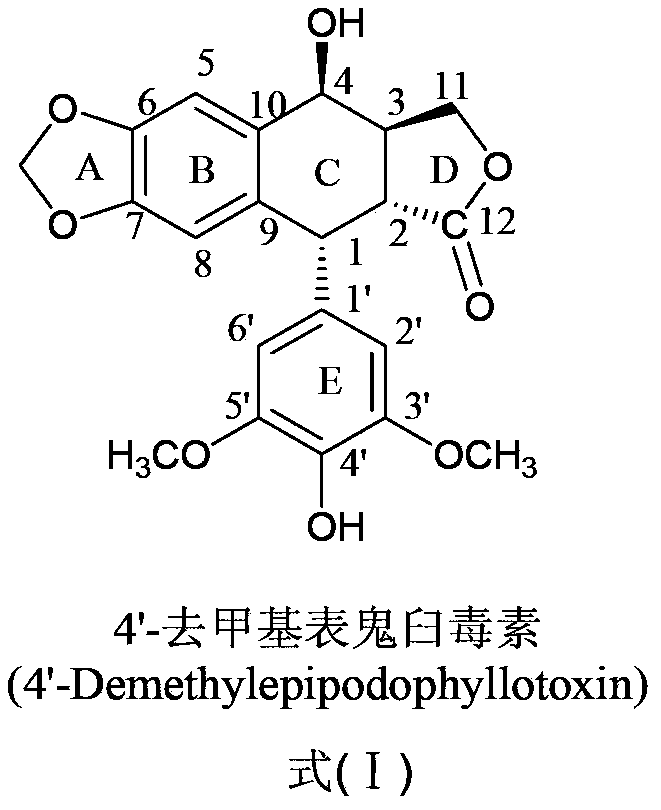 Esterified podophyllum derivative with antineoplastic activity and preparation method and application thereof