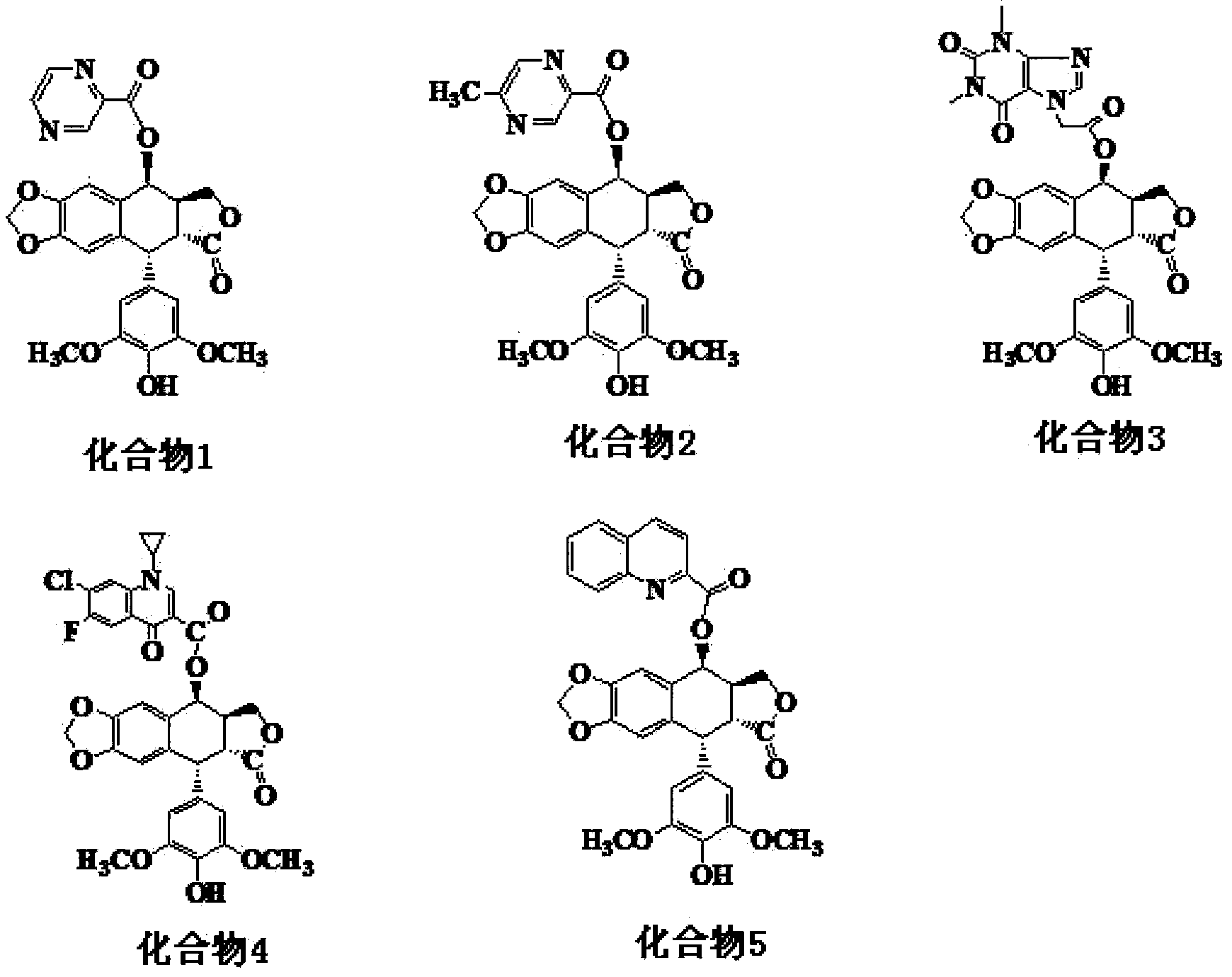 Esterified podophyllum derivative with antineoplastic activity and preparation method and application thereof