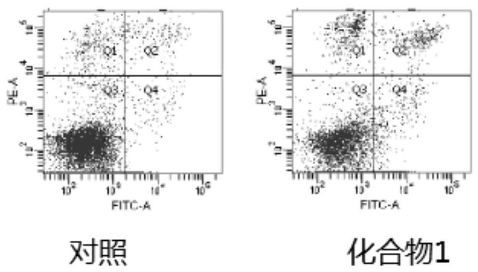 1, 3-dioxolane derivative compound as well as preparation method and application thereof