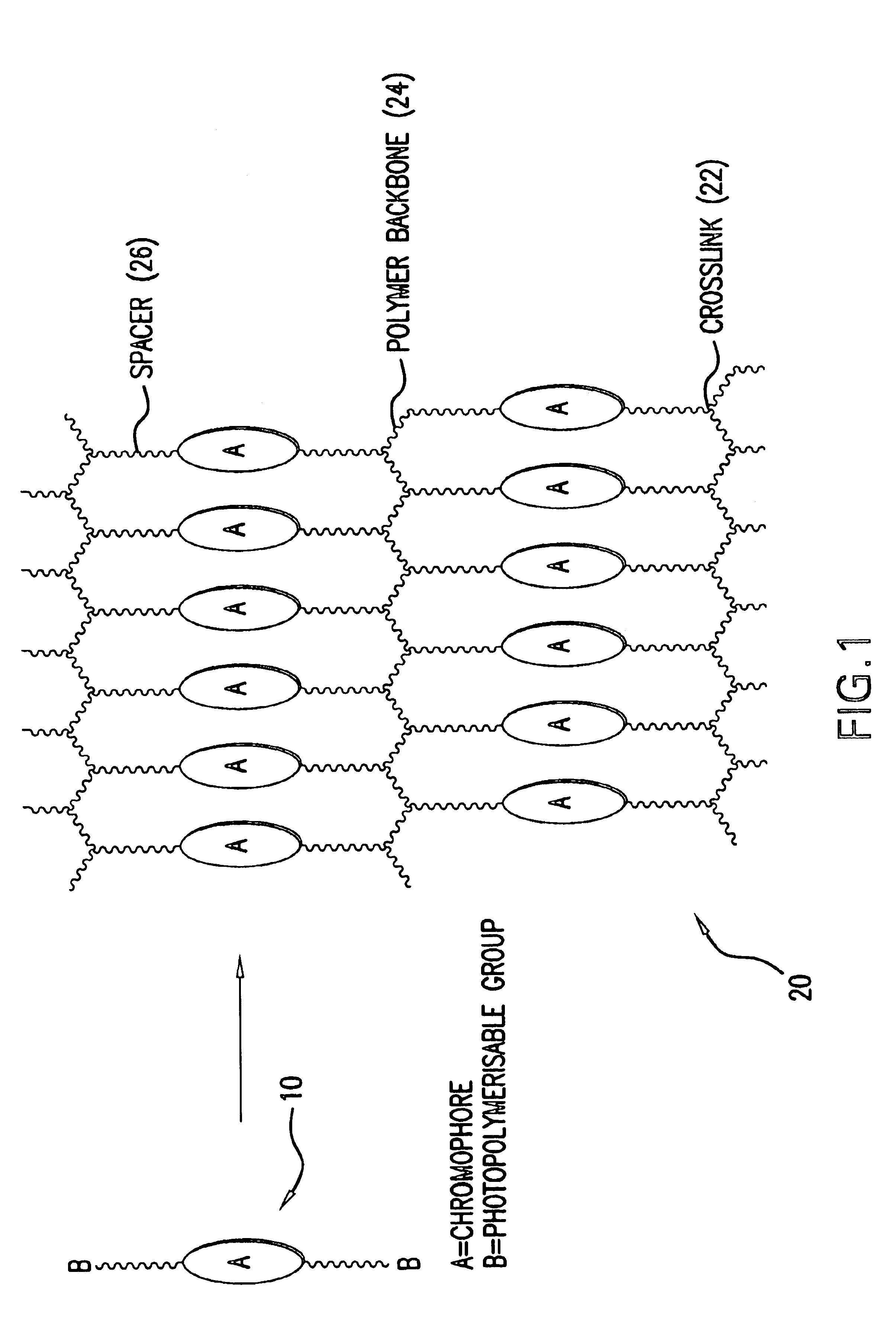 Light emitting polymer