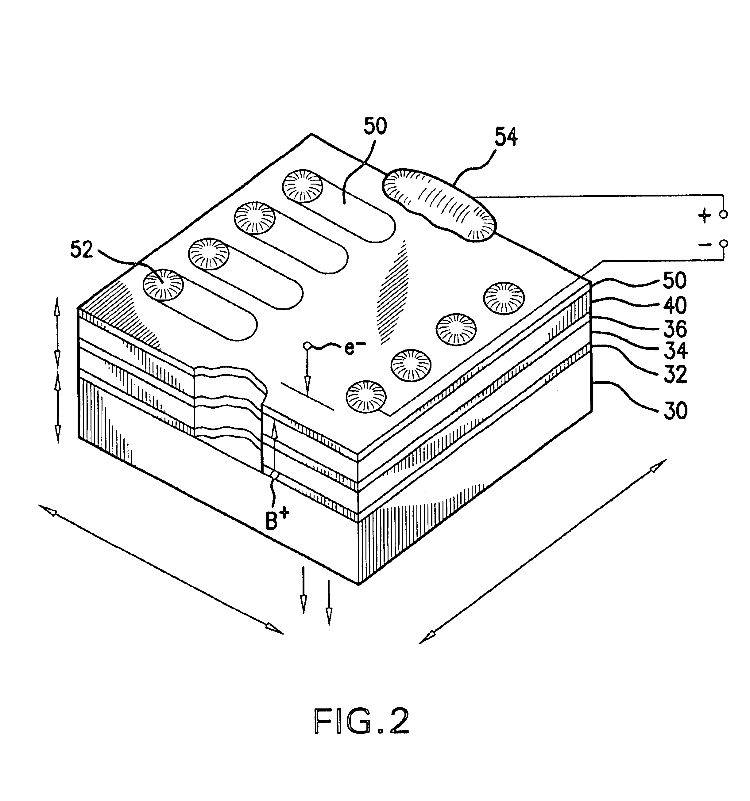 Light emitting polymer