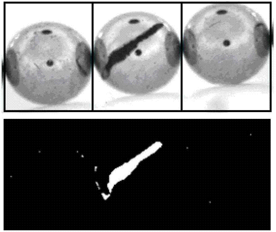 Vision-based steel ball surface defect detection apparatus and detection method