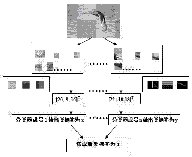 Object type identification method combining plurality of interest point testers