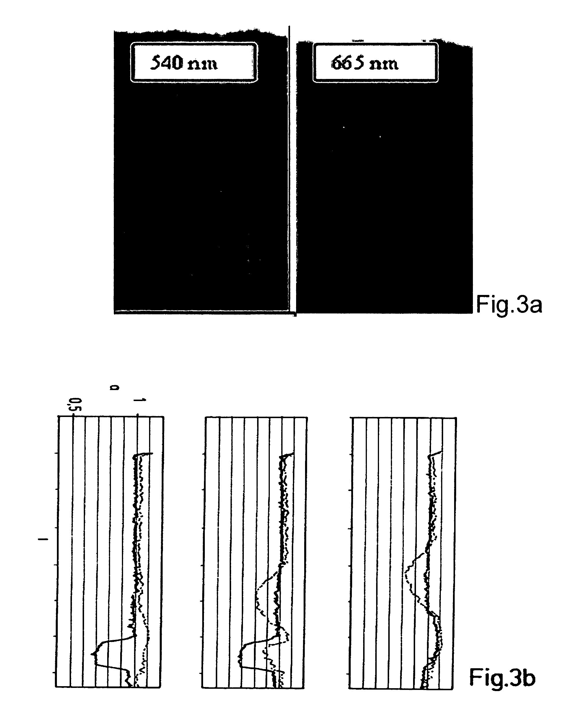 Biochemical assay