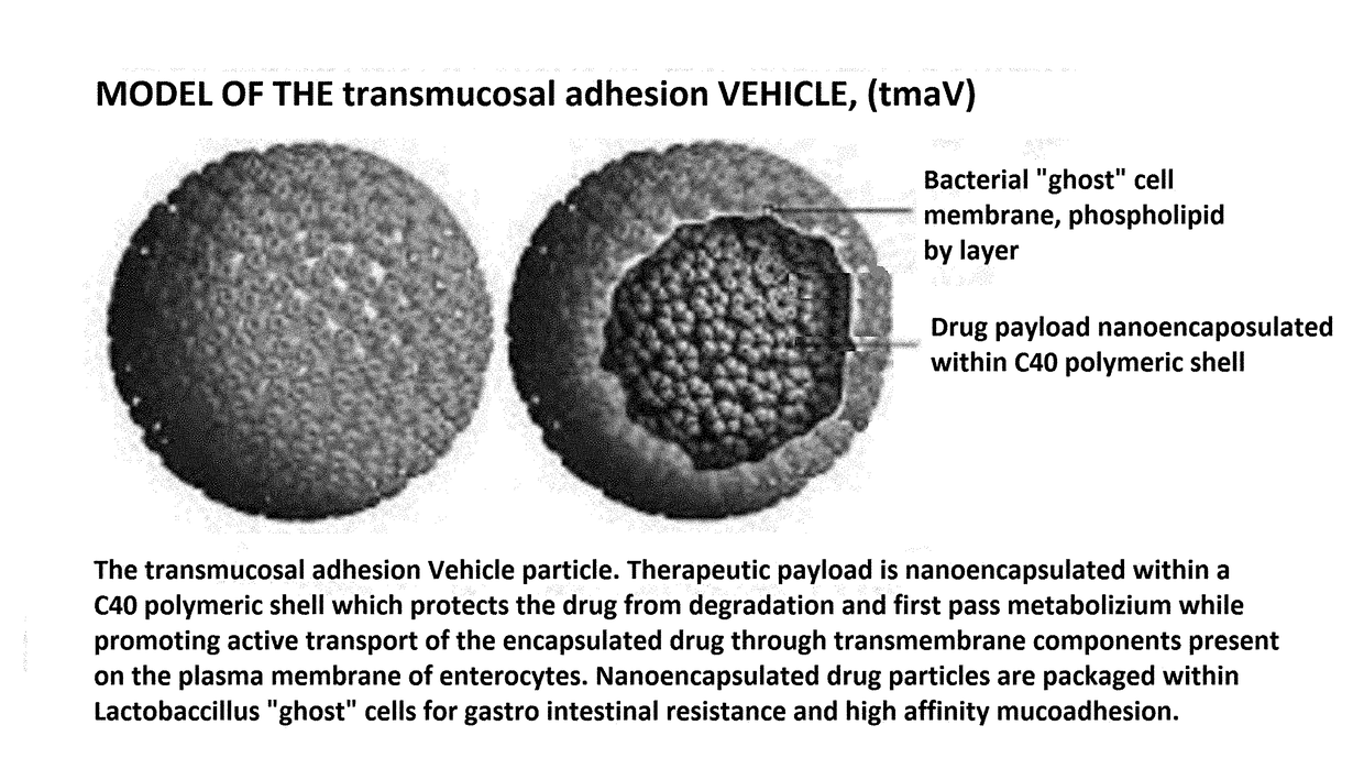 Serum Specific Drug Transport System