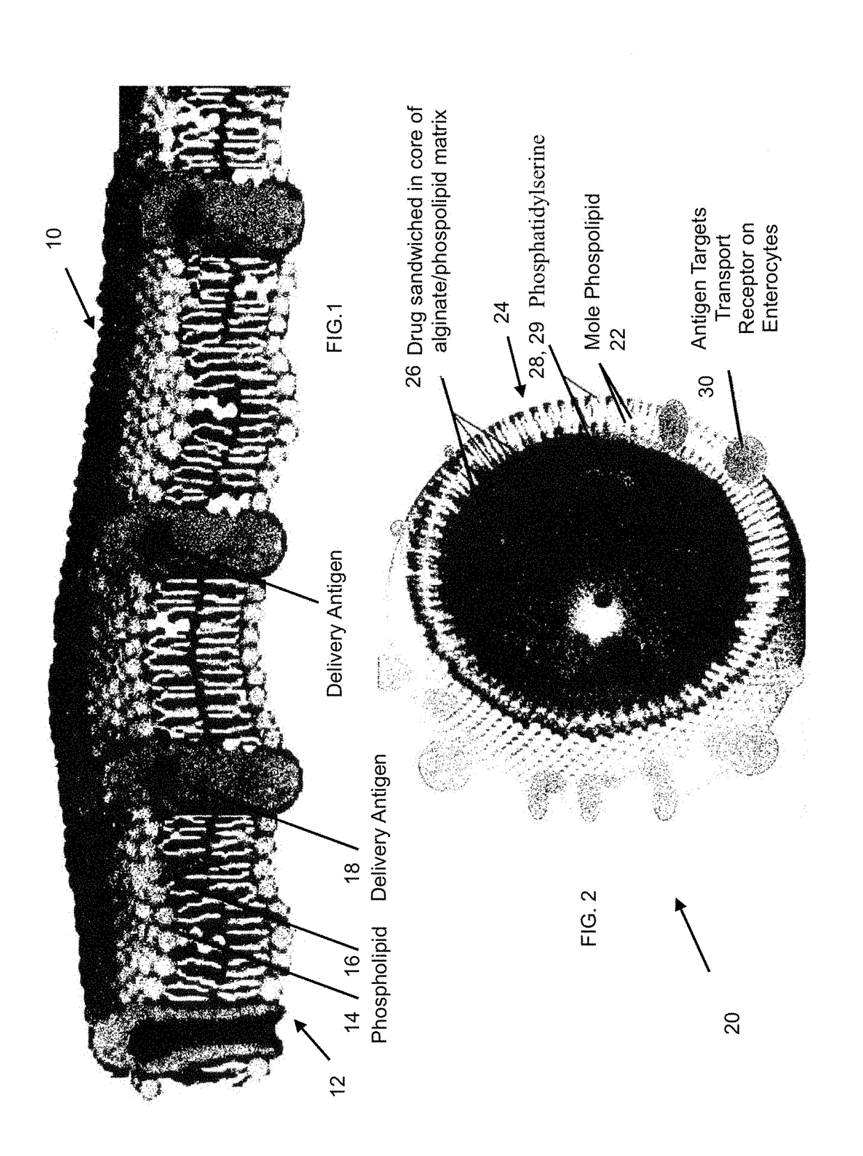 Serum Specific Drug Transport System