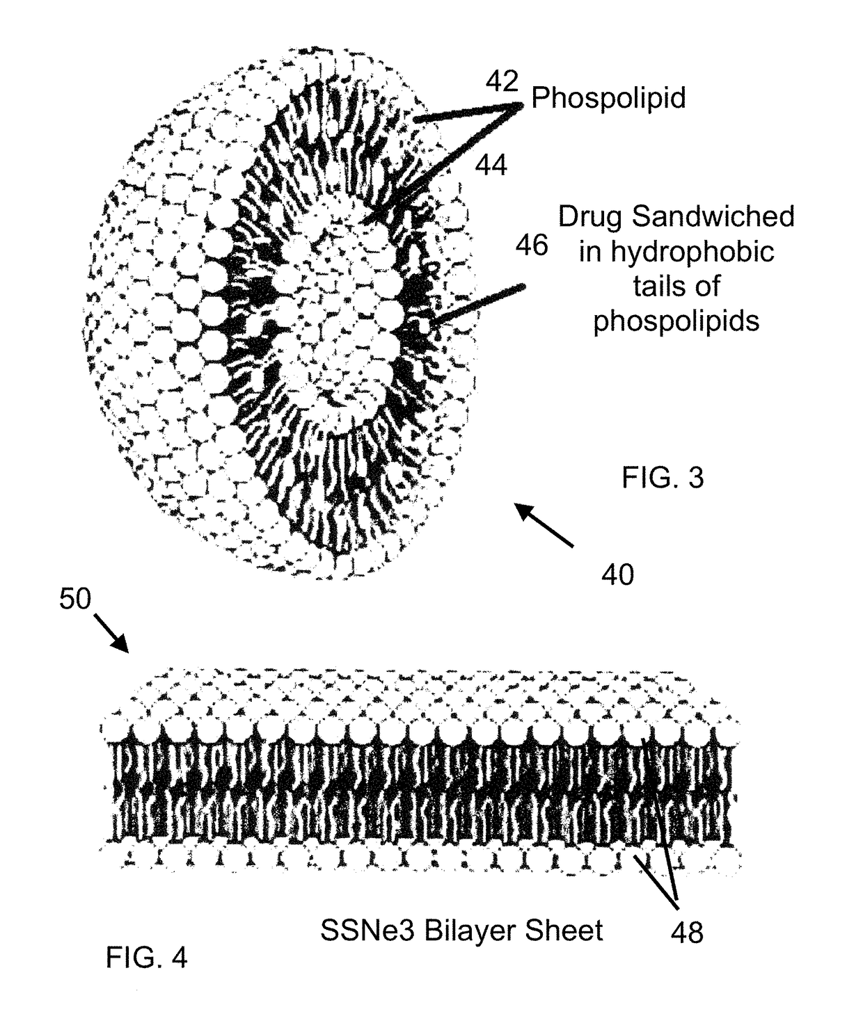 Serum Specific Drug Transport System