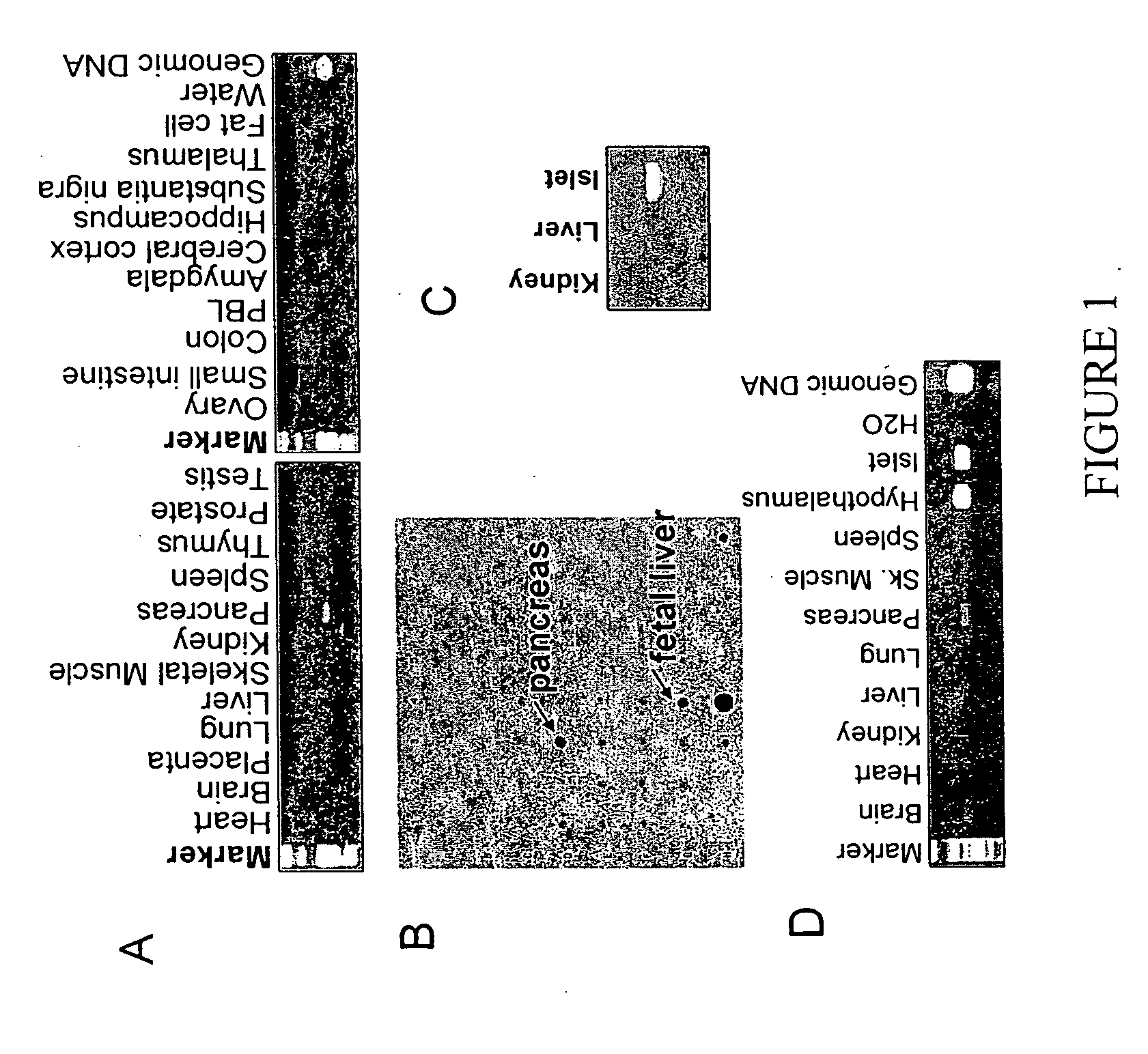 Fused-aryl and heteroaryl derivatives as modulators of metabolism and the prophylaxis and treatment of disorders related thereto