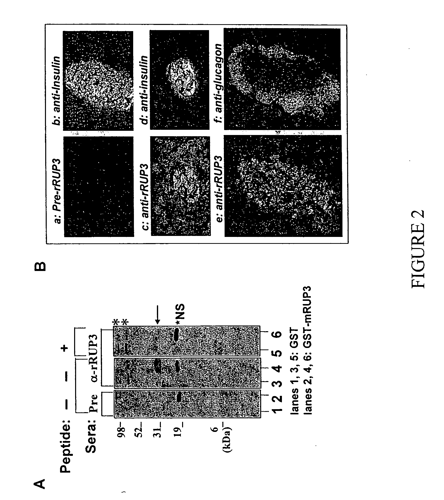 Fused-aryl and heteroaryl derivatives as modulators of metabolism and the prophylaxis and treatment of disorders related thereto