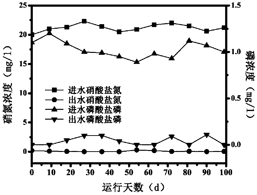 Coupling filler autotrophic denitrification biofilter and application