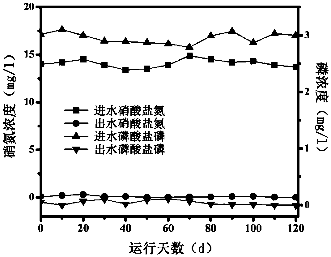 Coupling filler autotrophic denitrification biofilter and application