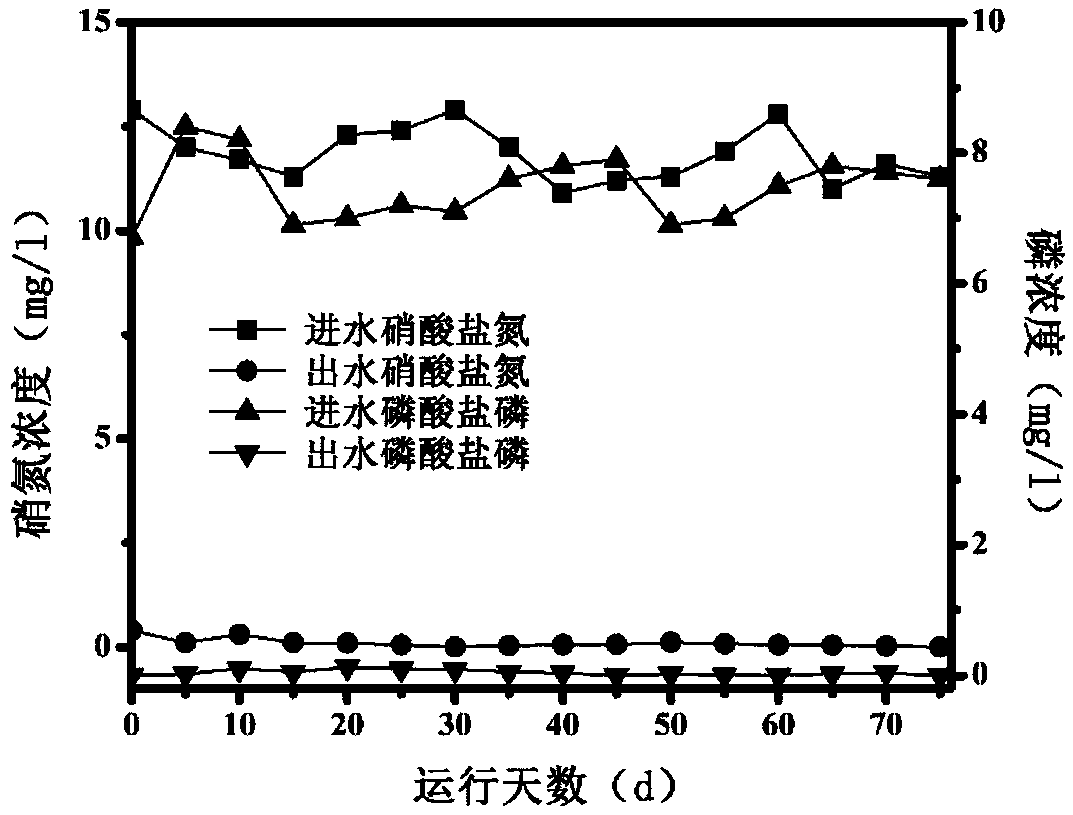 Coupling filler autotrophic denitrification biofilter and application