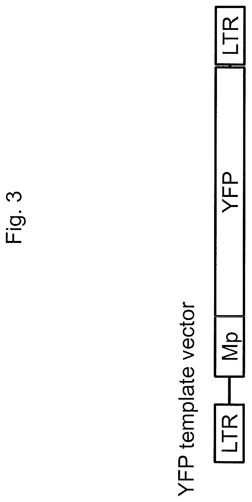 Lentiviral protein delivery system for RNA-guided genome editing