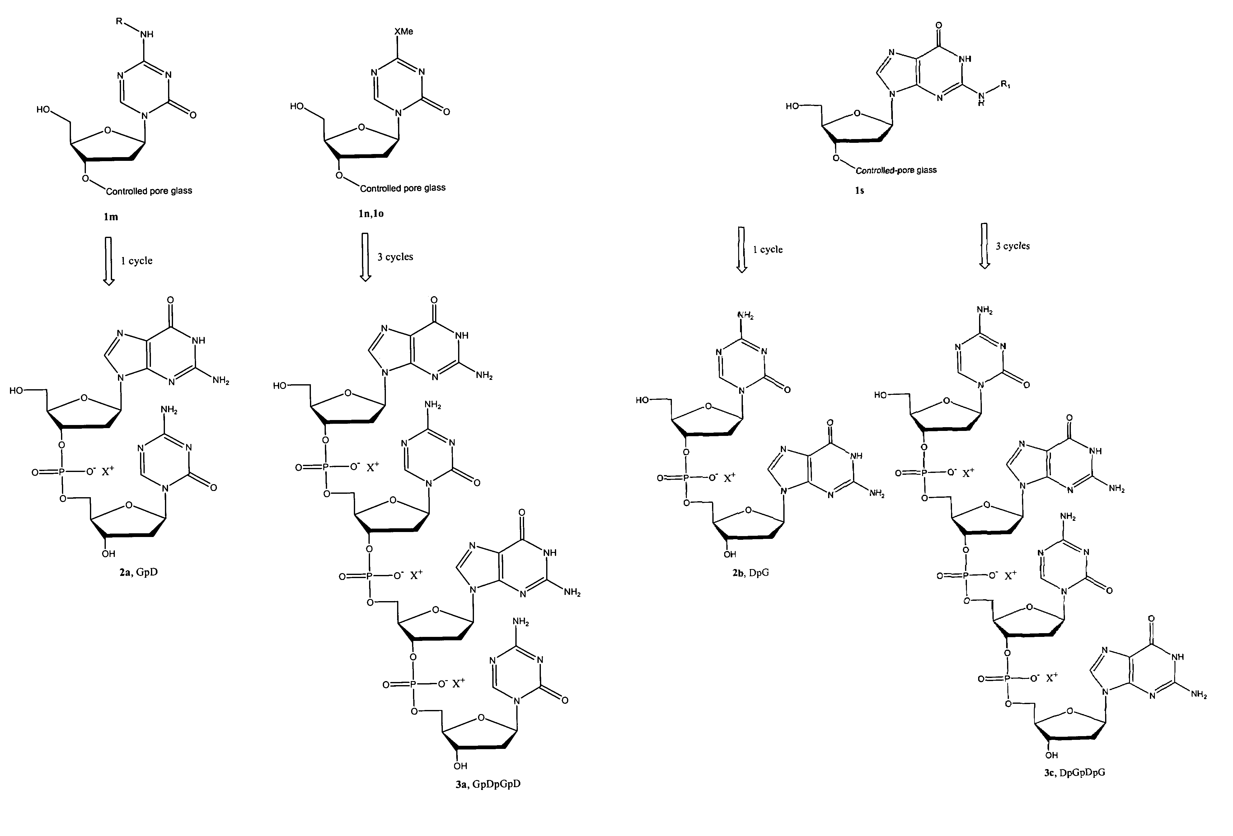 Oligonucleotide analogues incorporating 5-aza-cytosine therein