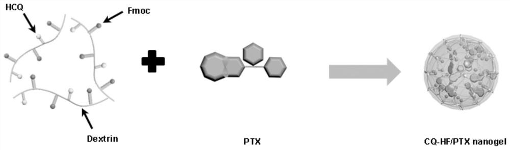 A polymeric chloroquine fluorenylmethylcarbonyl nanogel delivery system and preparation method thereof