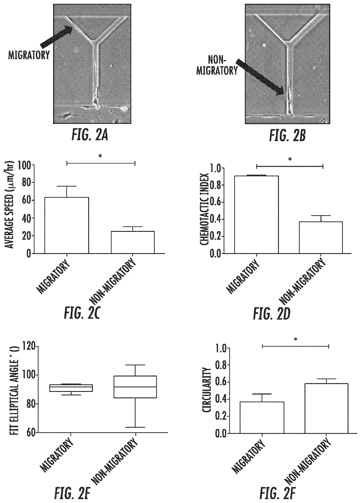 Use of an integrated microfluidic chip for analysis of cell motility and prediction and prognosis of patient survival