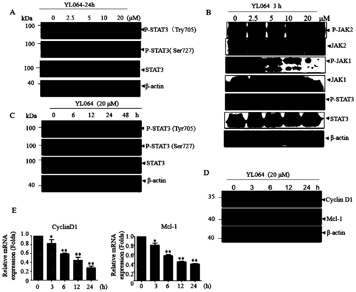 Application of sinomenine derivatives in the preparation of drugs for treating multiple myeloma