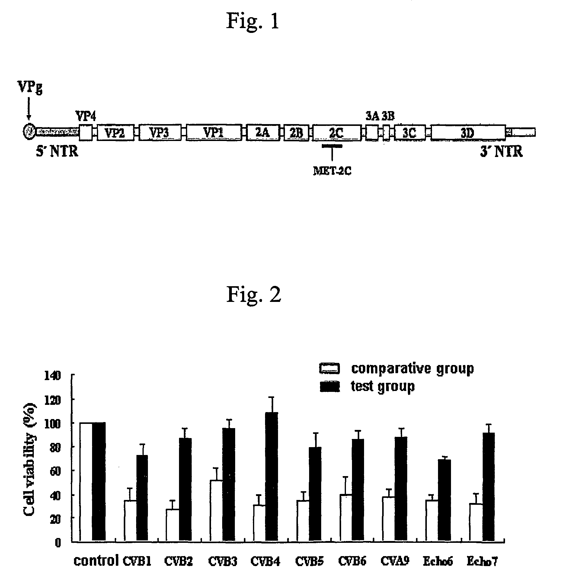 siRNA having antiviral activity against nonpolio enterovirus