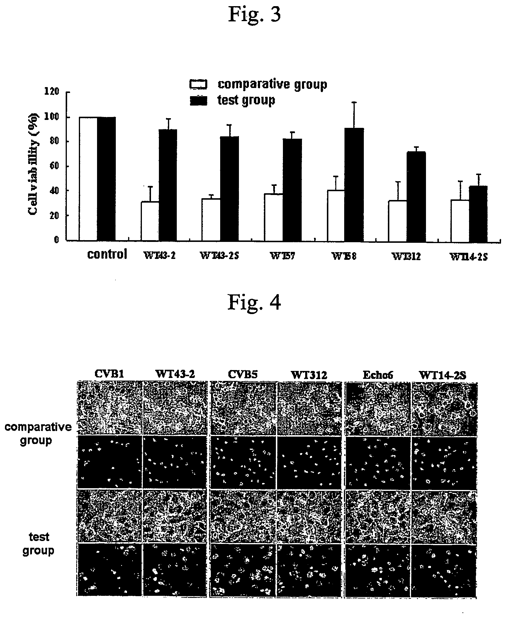 siRNA having antiviral activity against nonpolio enterovirus