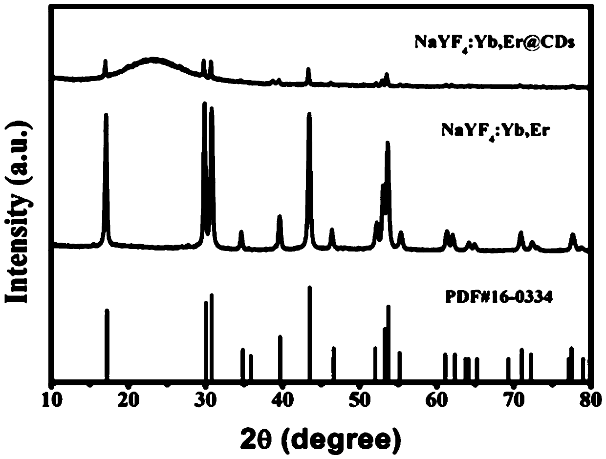 Leaf surface nanometer light conversion technology for promoting plant photosynthesis