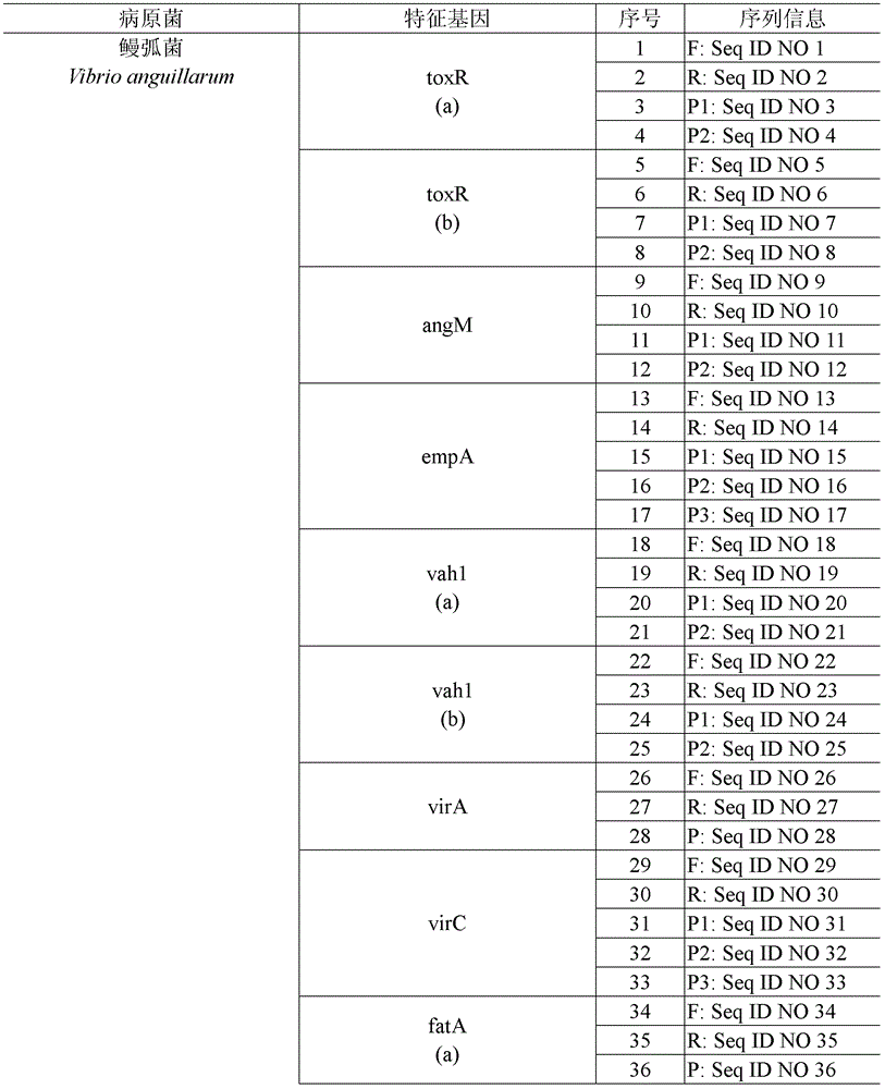 Gene chips for detecting multiple pathogenic bacteria in animals cultivated in sea water and uses thereof