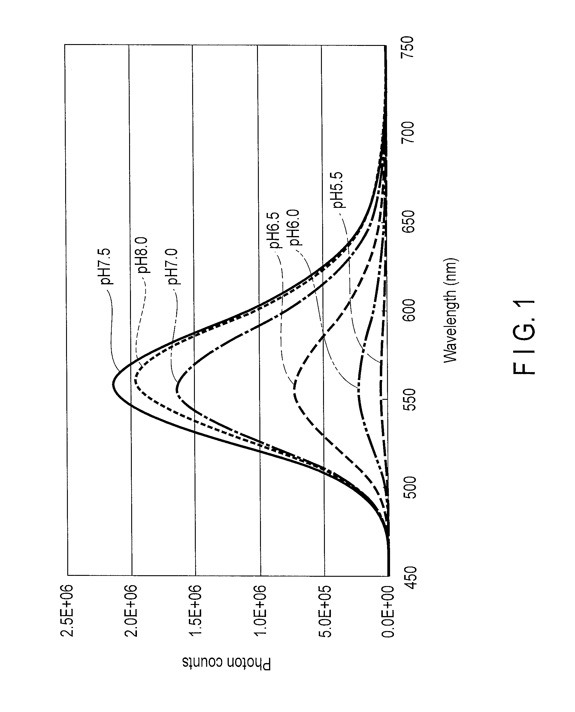 Star-worm luciferase