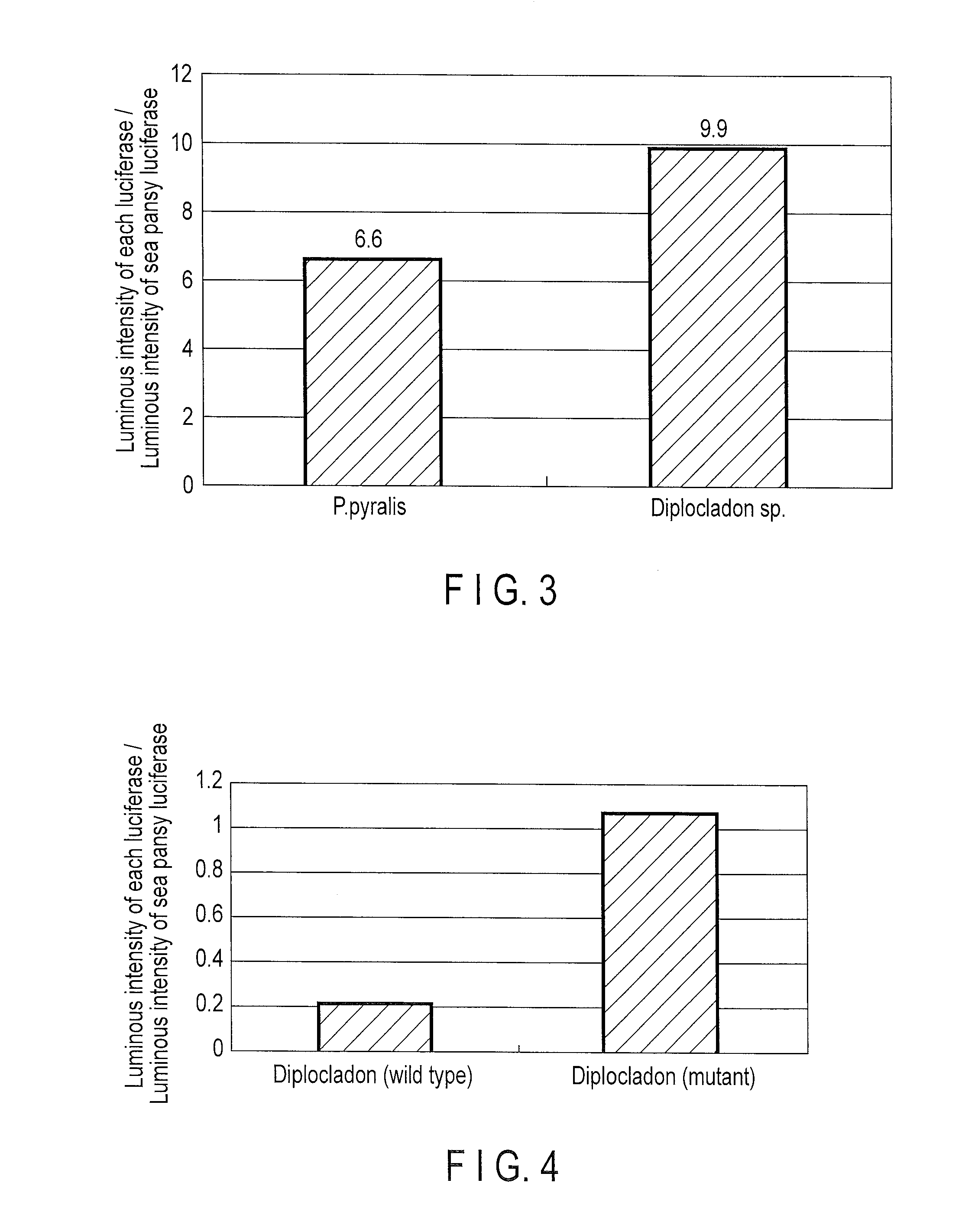 Star-worm luciferase