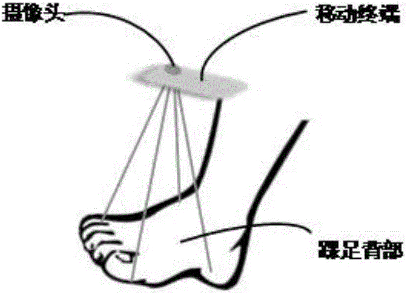 Augmented reality-based customer-to-factory shoe customization system and implementation method