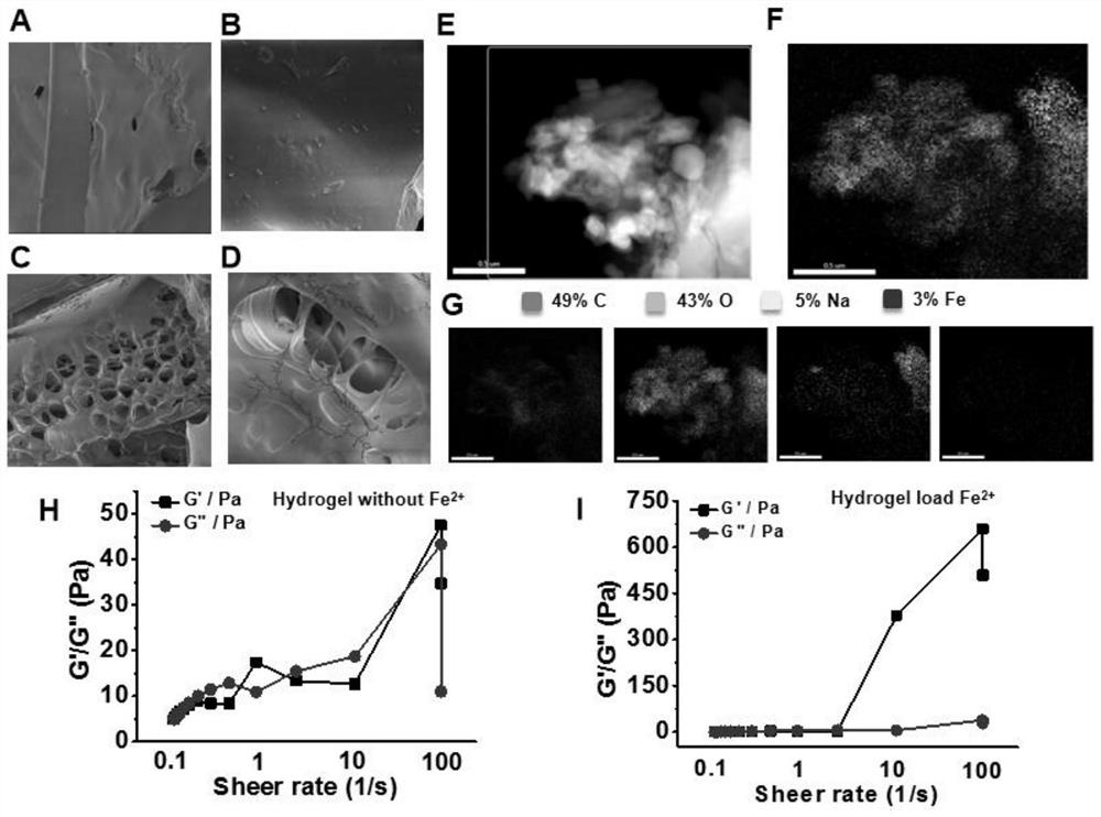 Application of ferrous ions in preparation of product for treating bacterial infection