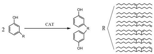 Preparation method of novel cardanol modified epoxy resin