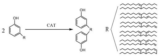 Preparation method of novel cardanol modified epoxy resin