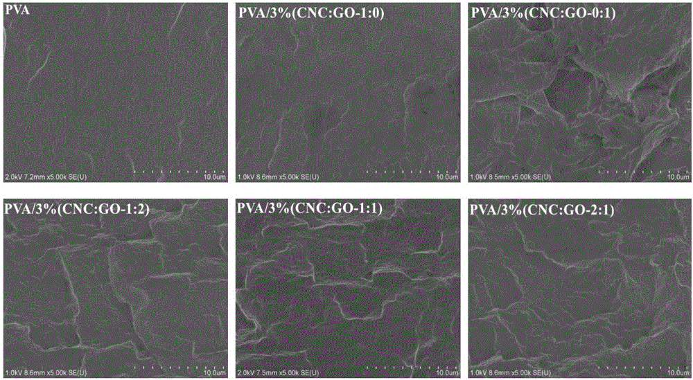 Preparation method for high-barrier water-resistant polyvinyl alcohol (PVA)/cellulose nanocrystal (CNC)/graphene oxide (GO) composite film